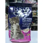 Daw Cat Kitten 1k